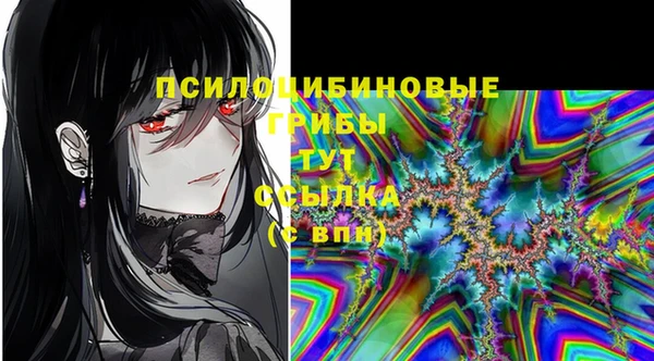 ПСИЛОЦИБИНОВЫЕ ГРИБЫ Карпинск