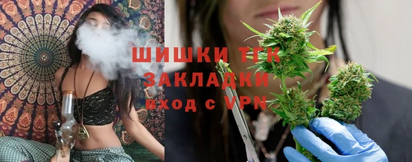 ПСИЛОЦИБИНОВЫЕ ГРИБЫ Карпинск