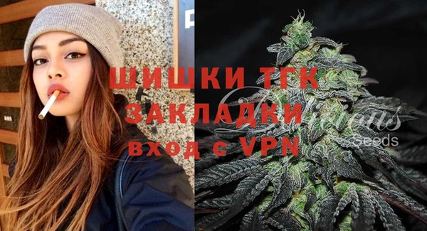 ПСИЛОЦИБИНОВЫЕ ГРИБЫ Карпинск