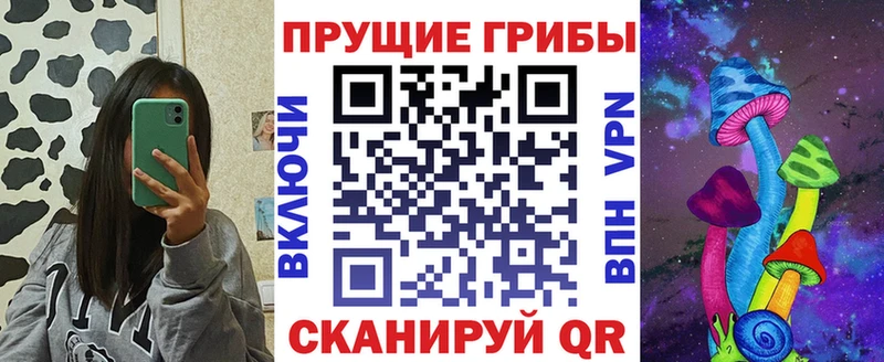 Купить  Аркадак  Галлюциногенные грибы Cubensis 